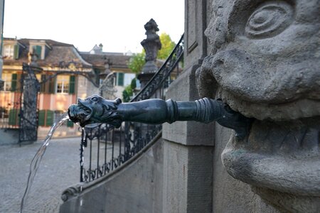 Zurich garden fence