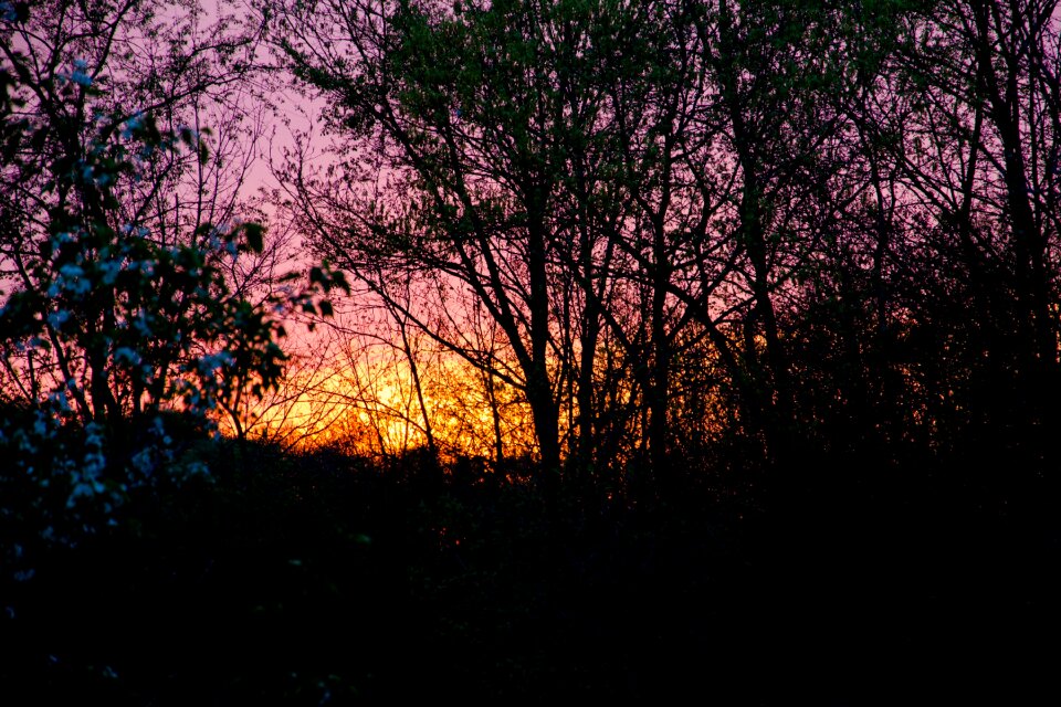 Nature landscape forest landscape