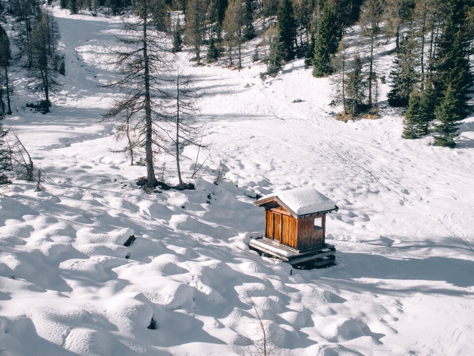 Snow cabin trees