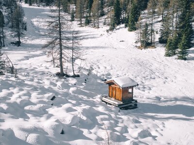 Snow cabin trees photo