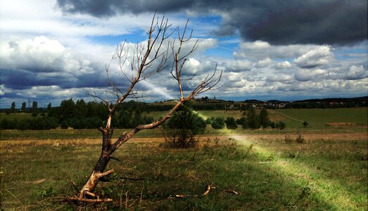 Clouds tree field