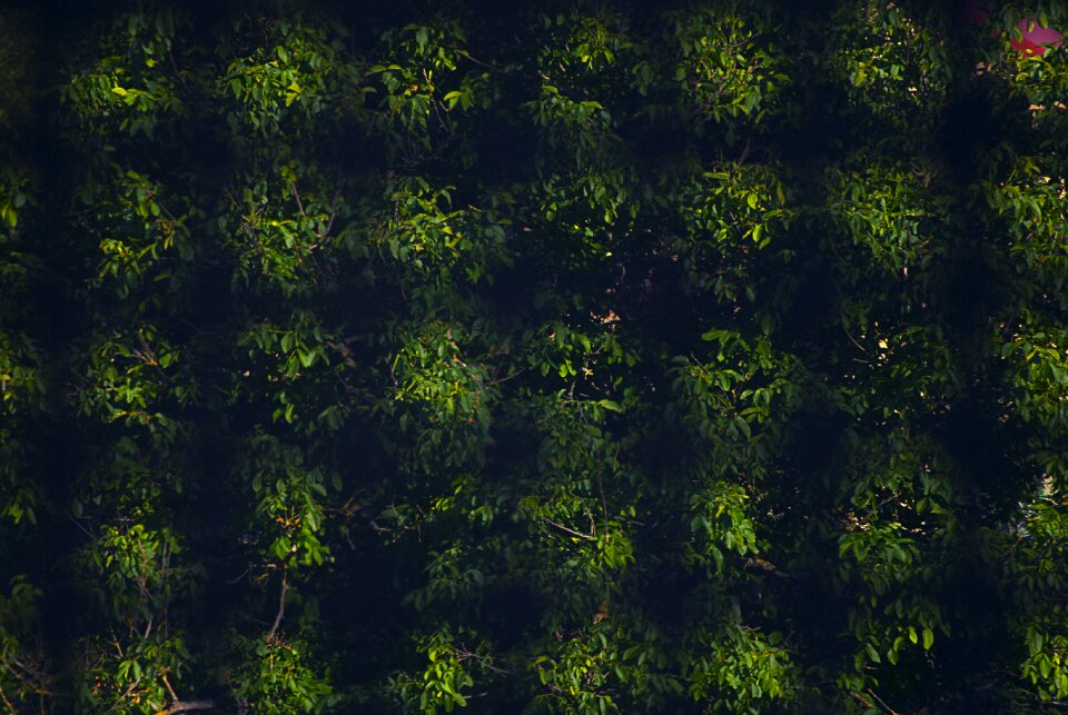 Texture design background pattern
