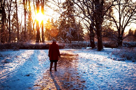 Sunset cold sun
