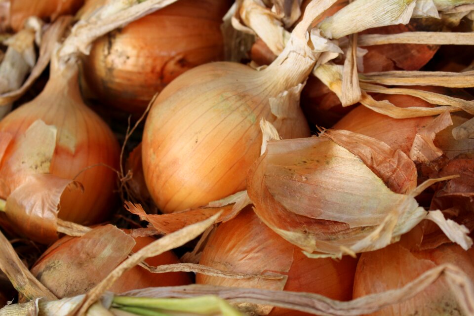 Healthy food organic