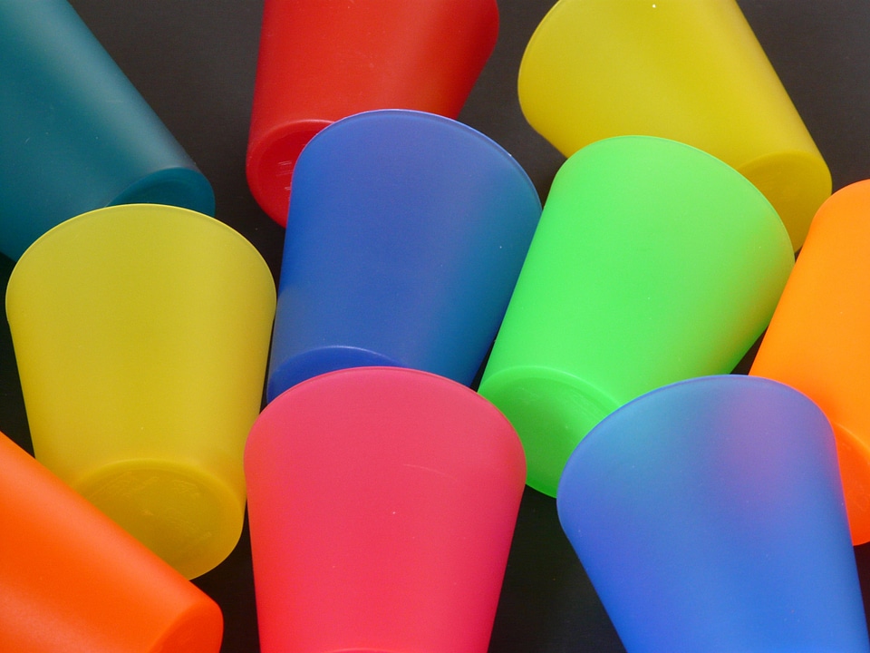 Color party celebrate