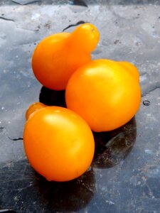 Pear yellow vegetables