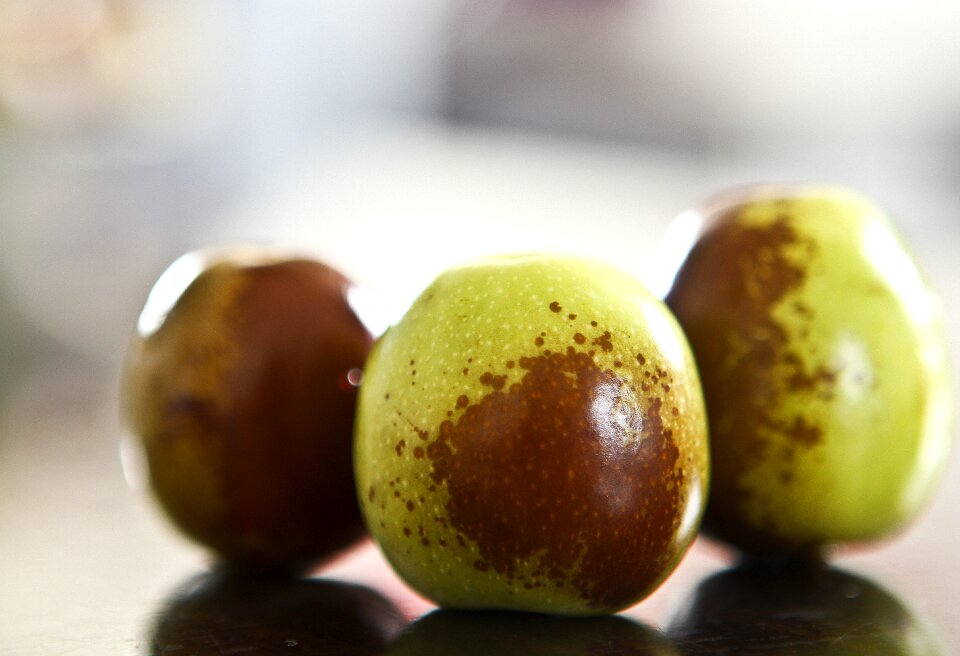 Apple fruit still life photo