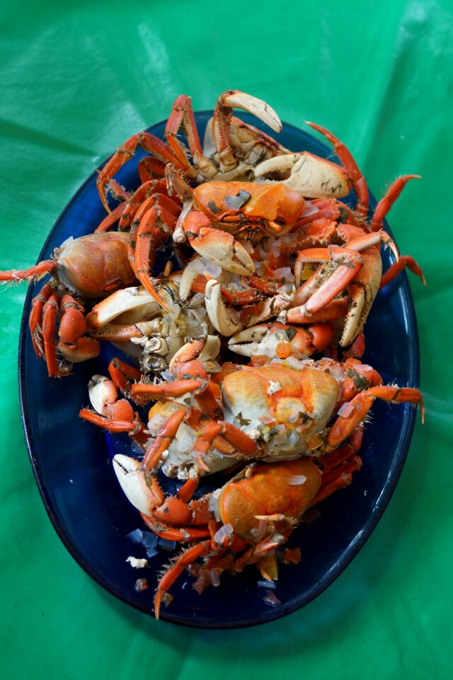 Seafood food in good health