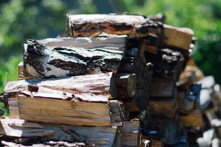 Nature log wooden