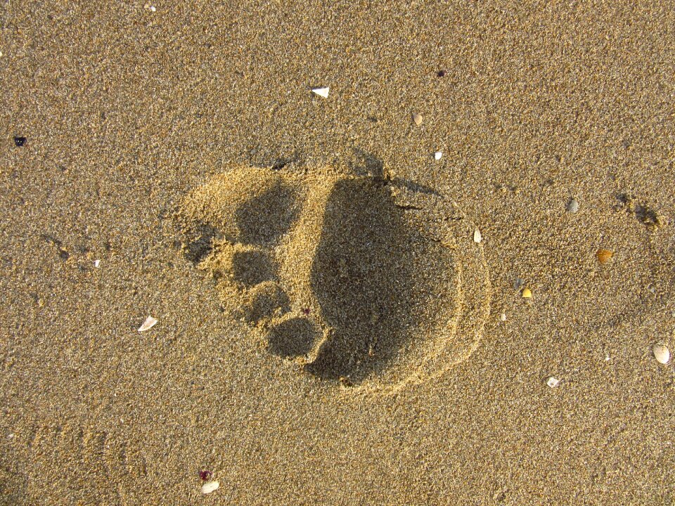 Trace beach barefoot