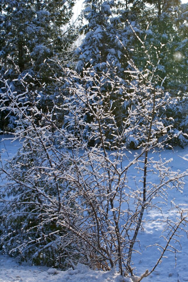 Cold weather fence field