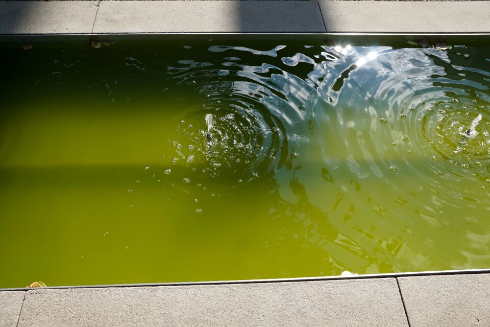 Green flow wet