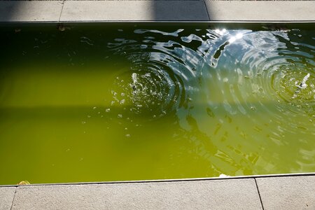 Green flow wet