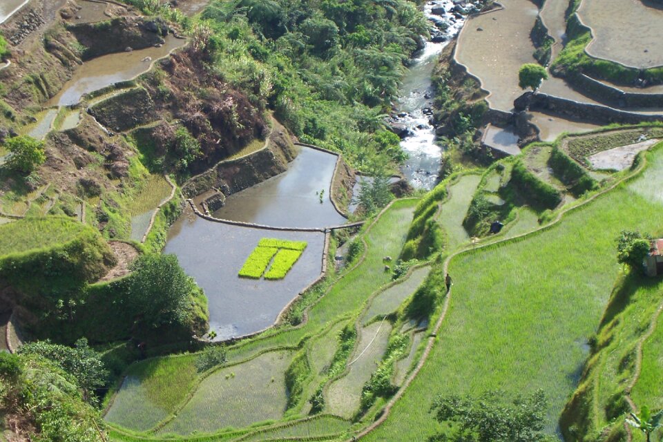 Cultivation philippines landscape