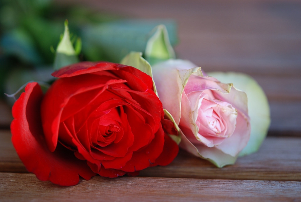 Pink floral gift