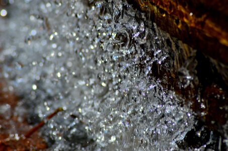 Wet a drop of closeup