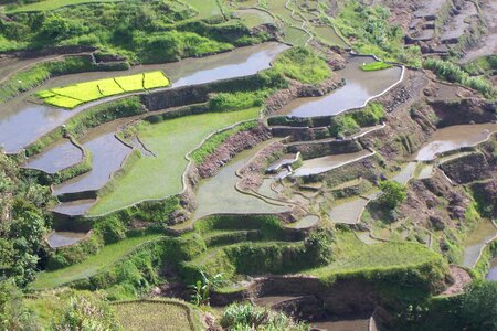 Cultivation philippines landscape