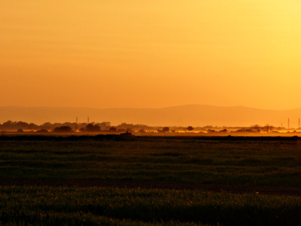 Sky grass agriculture