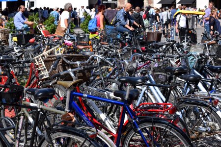 Tourists switch bicycles