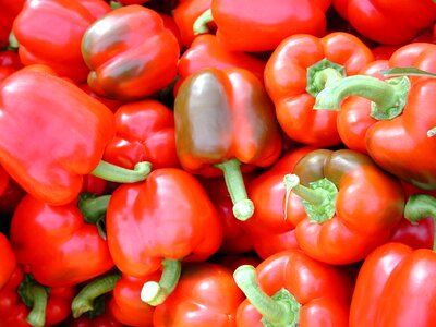 Agriculture pepper red