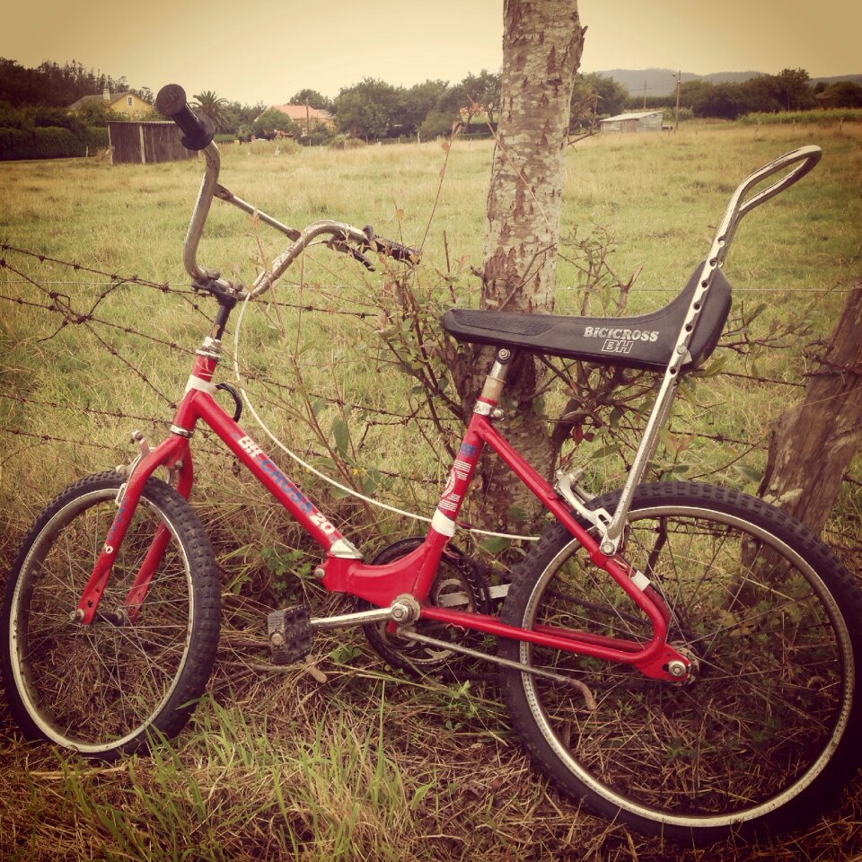 Bicycle vintage field