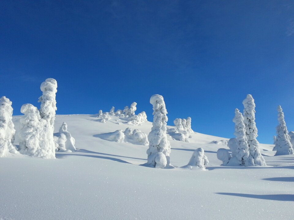 Norway kvitfjell cold