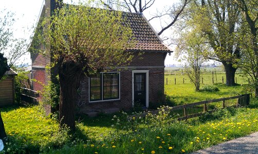 Garden tree cottage photo