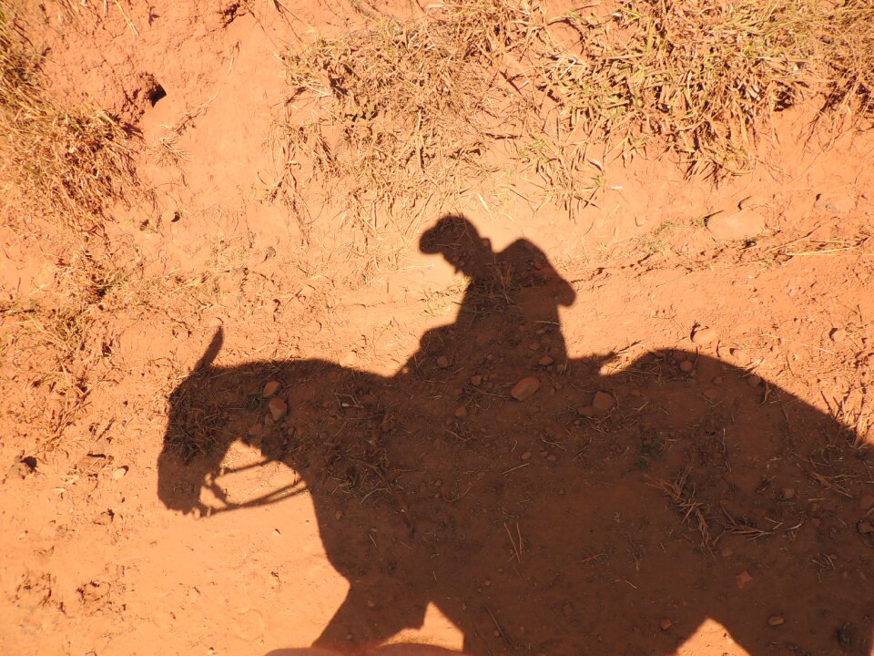 Earth man on horse desert