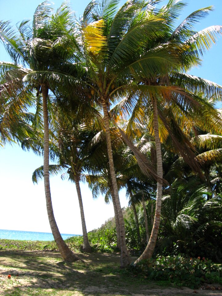 Beach island paradise
