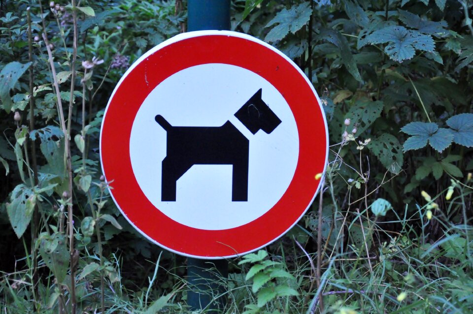 Symbol warning icon