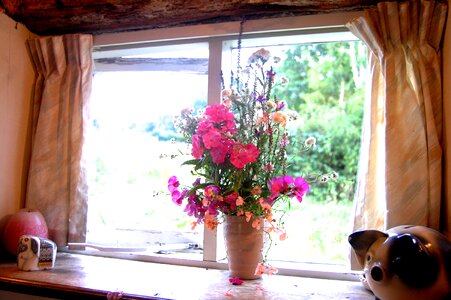 Stable blossom home