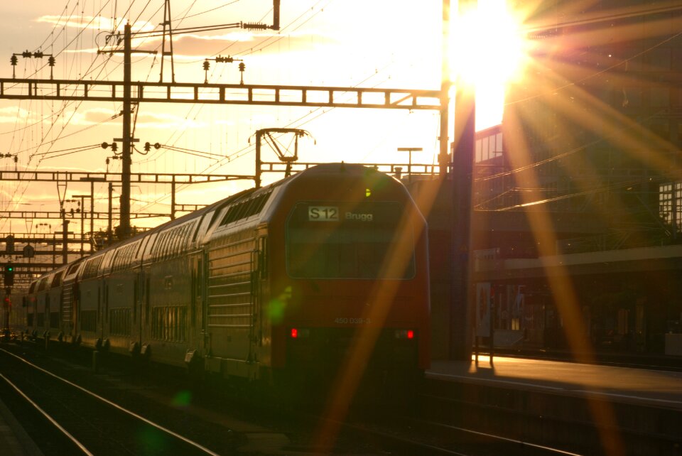 Altstetten zurich evening sun