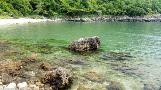 Green shallow nature