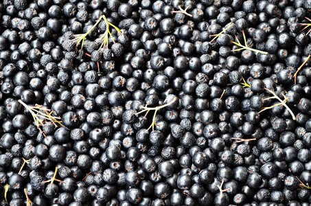 Vitamins health food