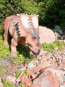 Triceratops dino dinosaur photo