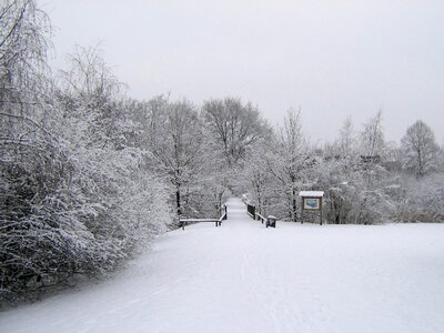 Cold landscape winter magic photo
