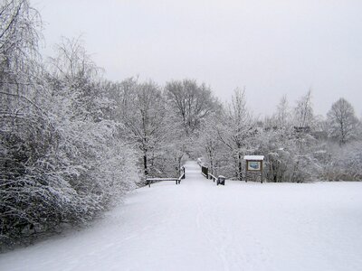 Cold landscape winter magic