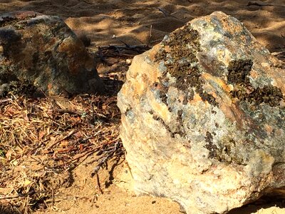 Stone nature stones