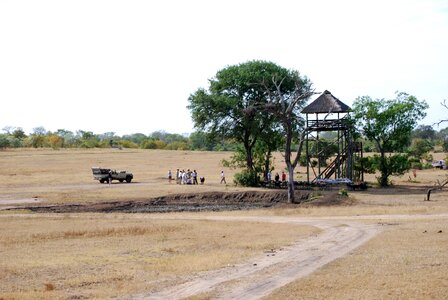 Bush breakfast africa
