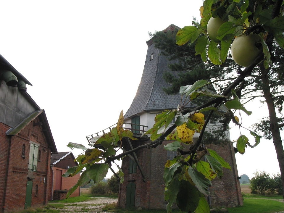 Windmill autumn apple