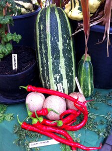 Vegetables cook choose