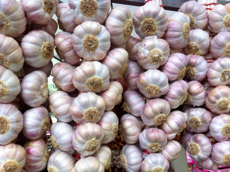 French garlic delicious food