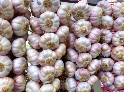 French garlic delicious food