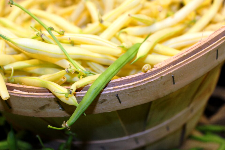 Vegetable produce fresh