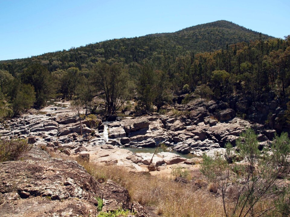 Rocks forest summer