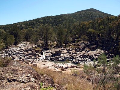 Rocks forest summer