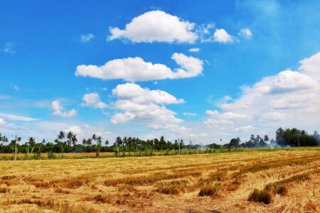Cloud cornfield na photo