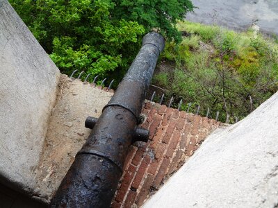 Cannon cactus curacao