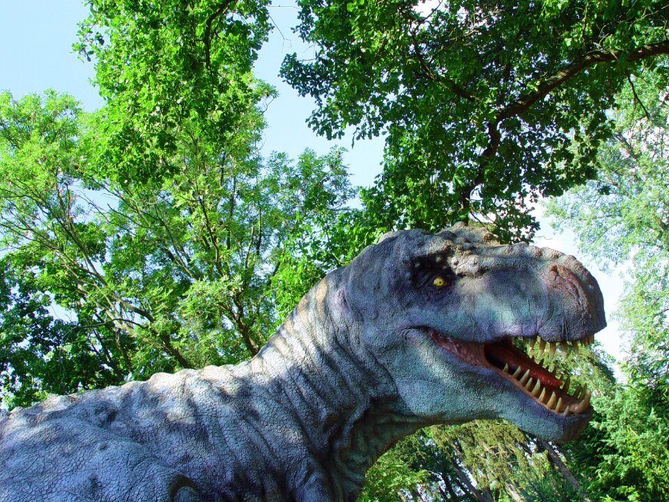 Tyrannosaurus rex dino carnivore