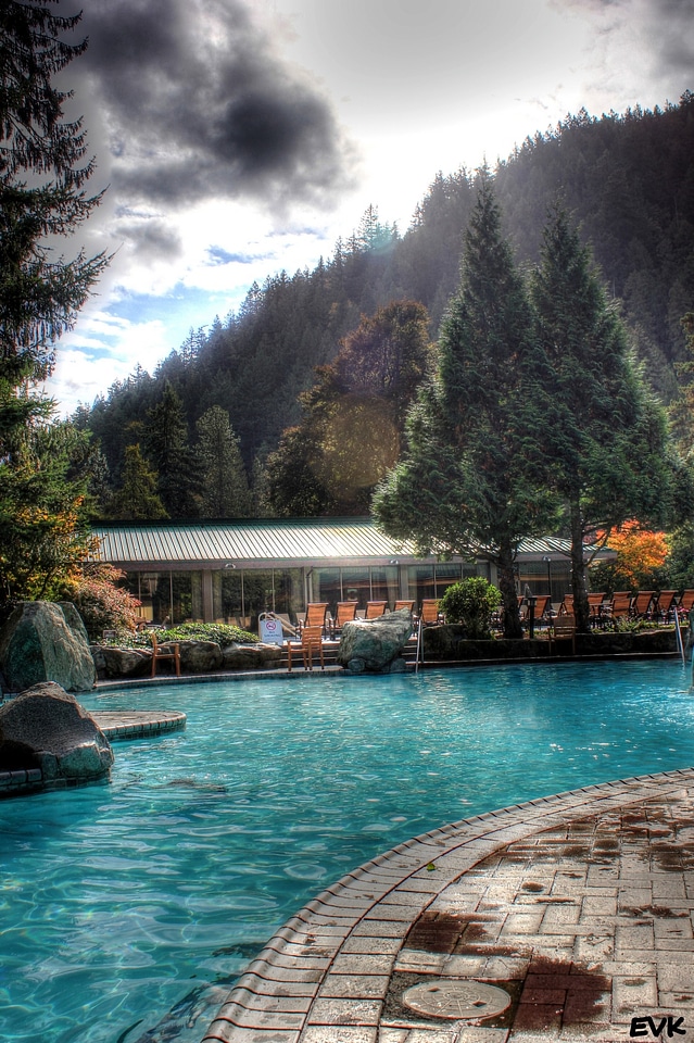 Hotsprings trees hotel